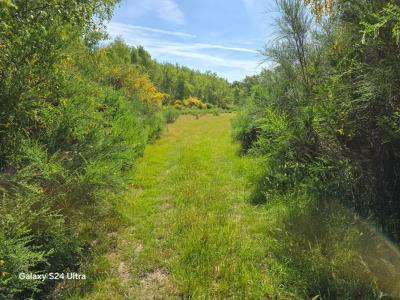 Acheter Terrain Choux Loiret