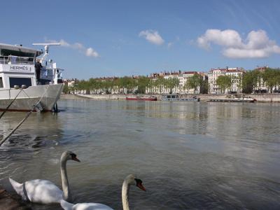 Acheter Appartement Lyon-2eme-arrondissement 339000 euros