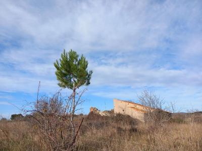 Annonce Vente Terrain Caux 34