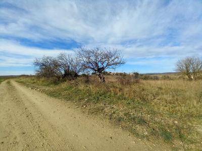 Acheter Terrain Caux Herault