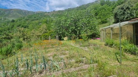 Acheter Maison 125 m2 Sablieres