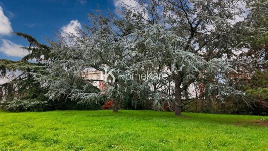 Annonce Vente Terrain Toulouse 31