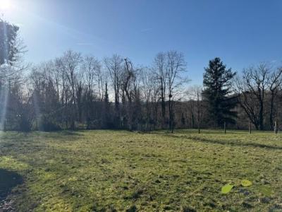 Annonce Vente 5 pi�ces Maison Affieux 19