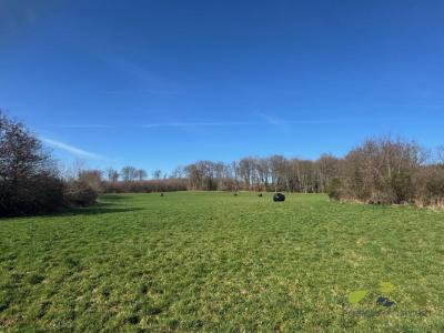 Annonce Vente Terrain Rilhac-treignac 19