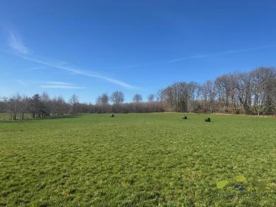 Acheter Terrain 16270 m2 Rilhac-treignac