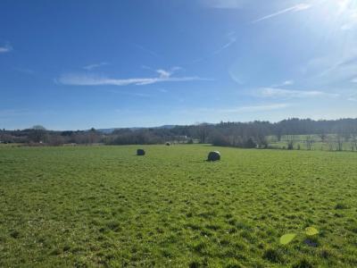 Acheter Terrain Rilhac-treignac 11500 euros