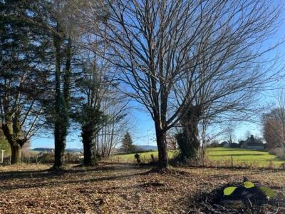 Annonce Vente Terrain Chamberet 19