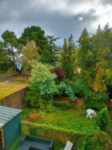 Annonce Location 2 pi�ces Appartement Nantes 44