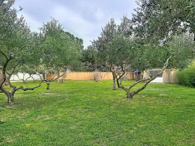 For sale Rochefort-du-gard 7 rooms 300 m2 Gard (30650) photo 3