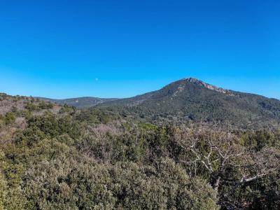 Annonce Vente 4 pi�ces Maison Evenos 83