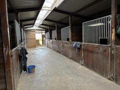 Acheter Prestige Rennes 808500 euros