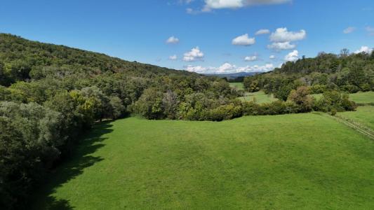 Acheter Maison Arinthod Jura