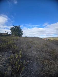 Annonce Vente Terrain Narbonne 11