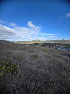 Acheter Terrain 2463 m2 Narbonne