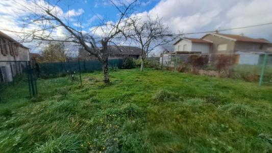 Acheter Maison 195 m2 Viomenil