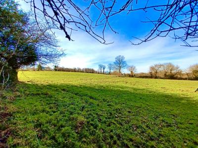 Acheter Maison Marzan Morbihan