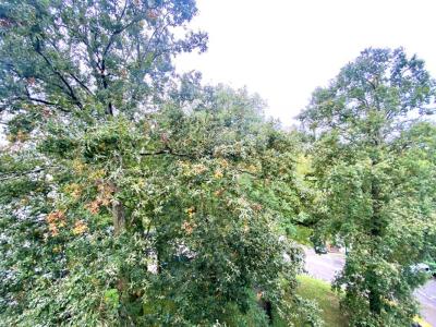 Acheter Appartement Sevres 380000 euros