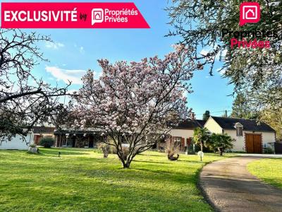 For sale Villemandeur 8 rooms 210 m2 Loiret (45700) photo 0