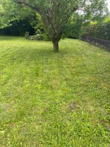 Acheter Terrain 418 m2 Rosny-sous-bois