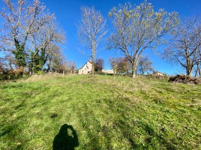 Acheter Terrain Cremeaux Loire