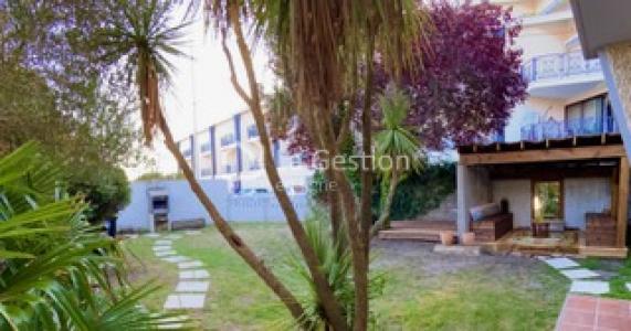 Louer Appartement Andernos-les-bains 1100 euros