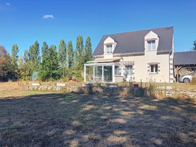 Annonce Location 4 pi�ces Maison Saint-denis-sur-loire 41