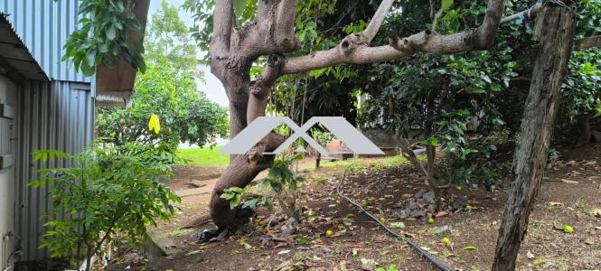 For sale Avirons 339 m2 Reunion (97425) photo 0