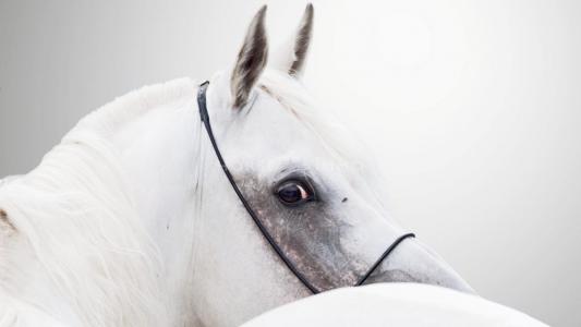 For sale Nimes 6 rooms 160 m2 Gard (30000) photo 0