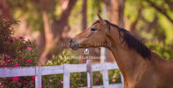 Annonce Vente 7 pi�ces Maison Montpellier 34