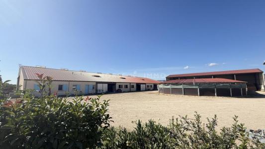 Acheter Maison 90 m2 Mallemort