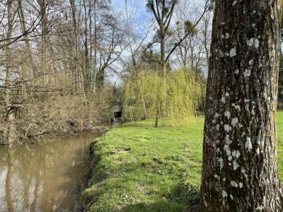 Annonce Vente 7 pi�ces Maison Pressac 86