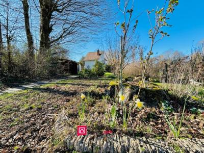 Annonce Vente 4 pi�ces Maison Mouroux 77