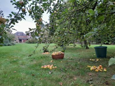 Acheter Maison 330 m2 Preux-au-bois