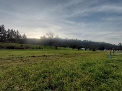 Acheter Maison Courbouzon 186000 euros