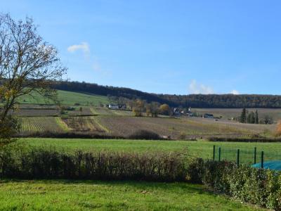 Acheter Maison Chatenoy-en-bresse 308500 euros