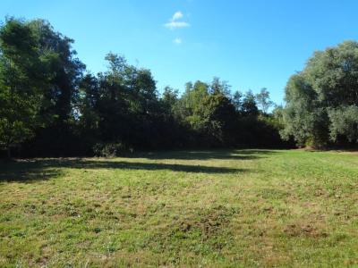 Acheter Maison Ormes Saone et loire