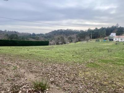 Annonce Vente Terrain Coux 07