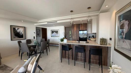 Acheter Appartement Cannes Alpes Maritimes