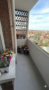 Acheter Appartement Roubaix Nord