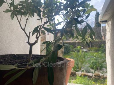 For rent Cuers 1 room 30 m2 Var (83390) photo 4