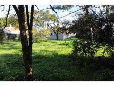 Acheter Maison Saint-georges-d'oleron Charente maritime