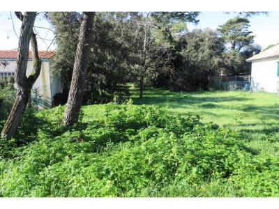 Acheter Maison Saint-georges-d'oleron 525000 euros