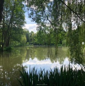 Acheter Terrain 200 m2 Verdelot