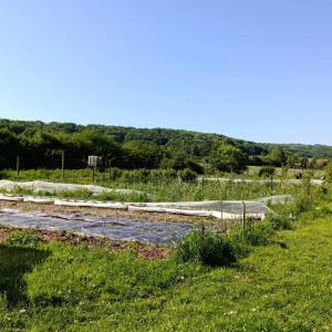 Acheter Terrain Verdelot Seine et marne