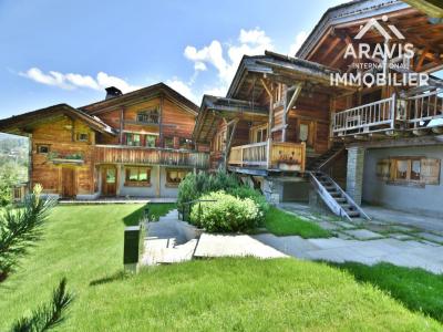 Acheter Prestige 674 m2 Araches