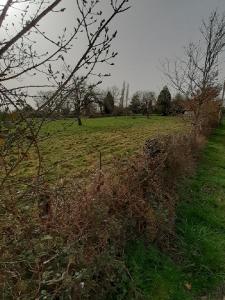 For sale 880 m2 Haute vienne (87110) photo 0