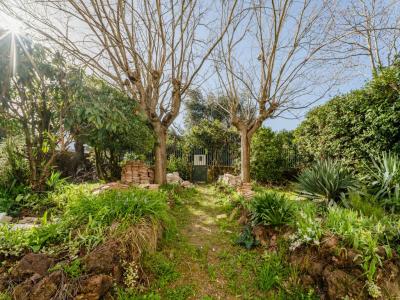 Acheter Maison 325 m2 