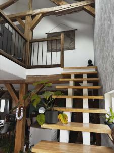 Acheter Maison  480000 euros