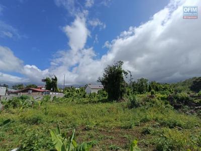 Annonce Vente Terrain Sainte-anne 974