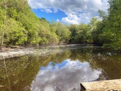 For sale Dussac 15743 m2 Dordogne (24270) photo 0